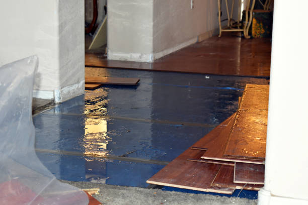 Professional Emergency Water Damage Restoration technician working in Lake Pleasant, MA